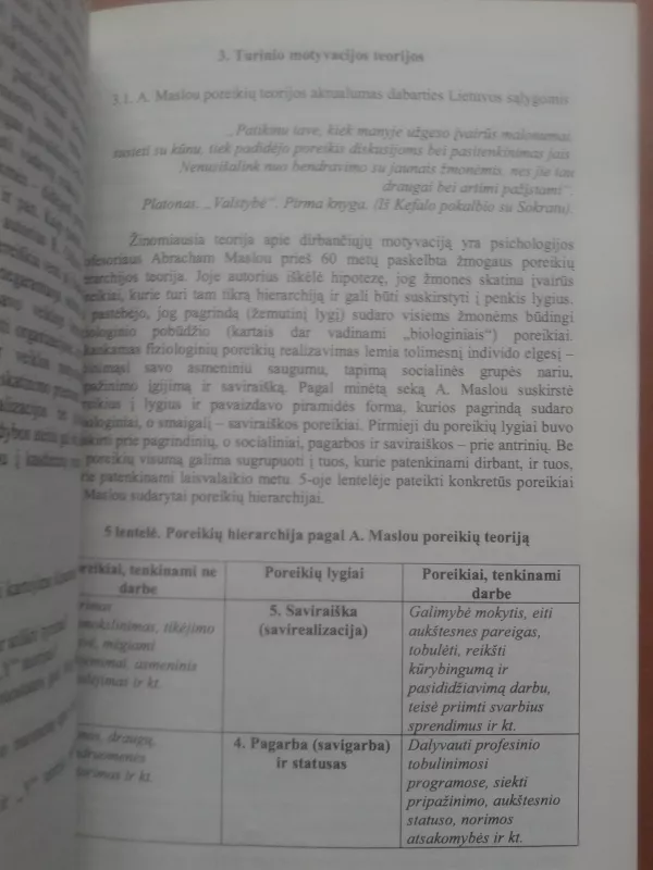 Motyvacijos pasaulis - jo supratimo keliai ir klystkeliai - Vladimiras Gražulis, knyga 4