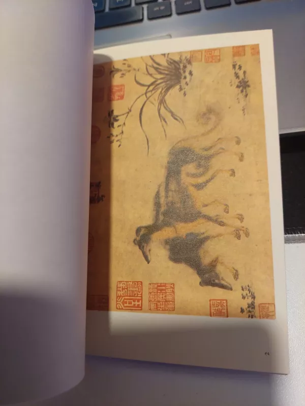 Kinų menas - Autorių Kolektyvas, knyga 4