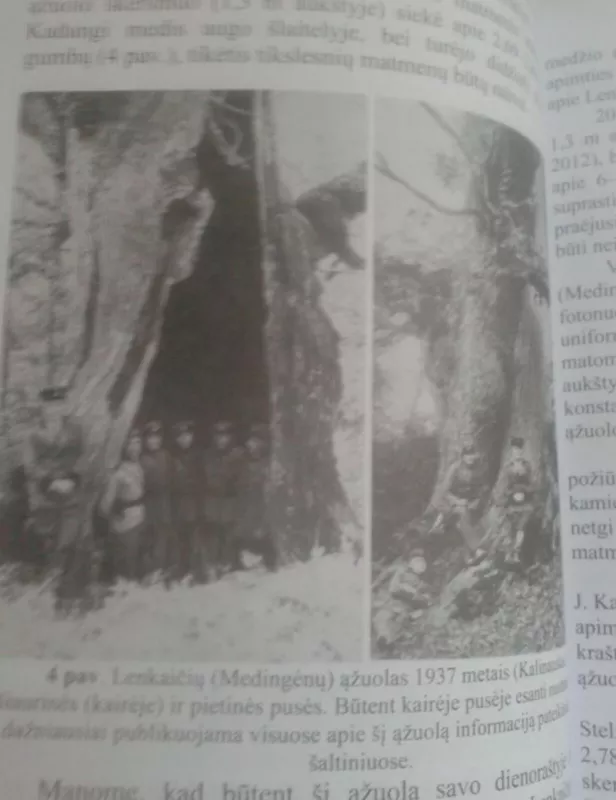 Medis Lietuvos kraštovaizdyje - Autorių Kolektyvas, knyga 5
