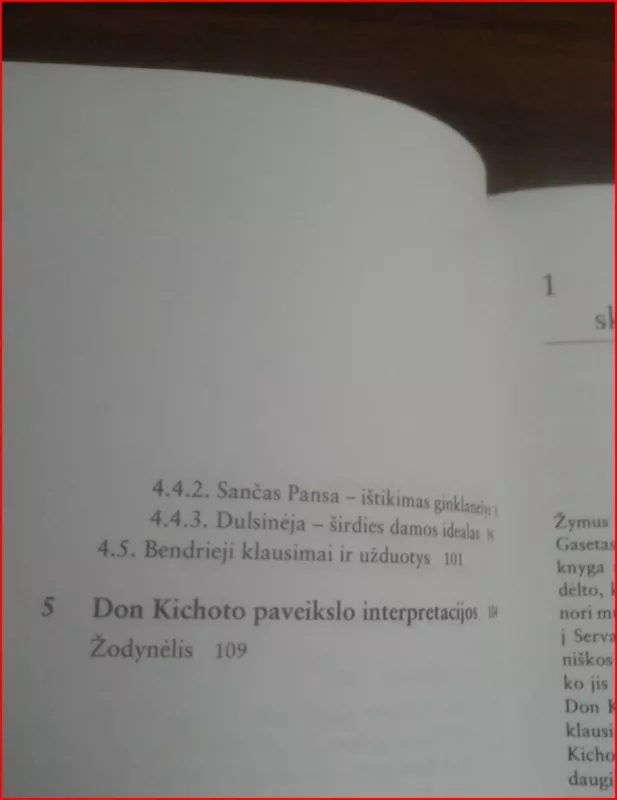 Servanteso Don Kichotas - Autorių Kolektyvas, knyga 5