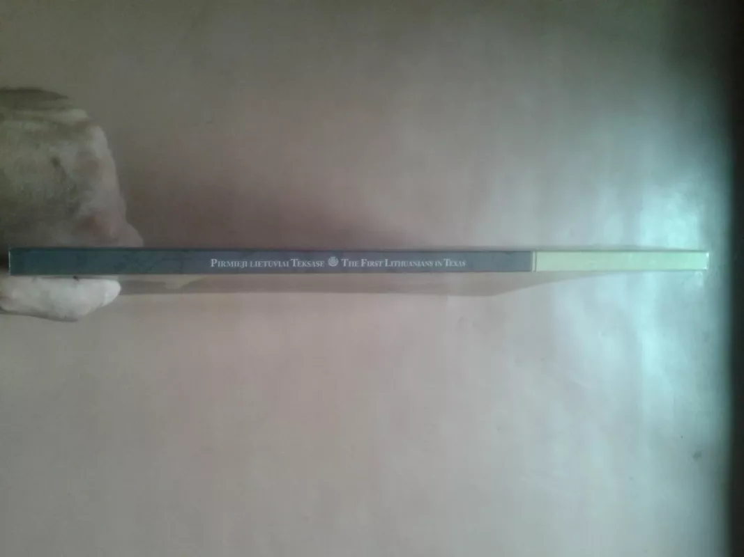 Pirmieji lietuviai Teksase - Autorių Kolektyvas, knyga 3