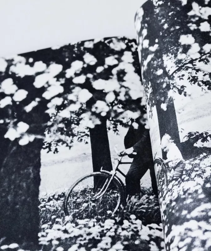 Žydėjimas - Romualdas Rakauskas, knyga 3