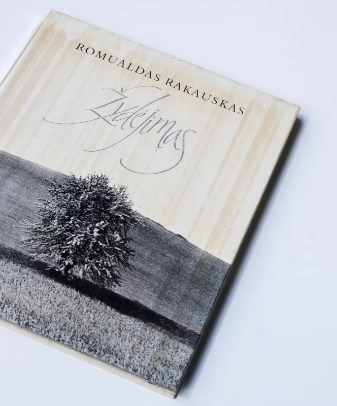 Žydėjimas - Romualdas Rakauskas, knyga 2