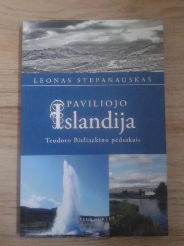 Paviliojo Islandija - Leonas Stepanauskas, knyga