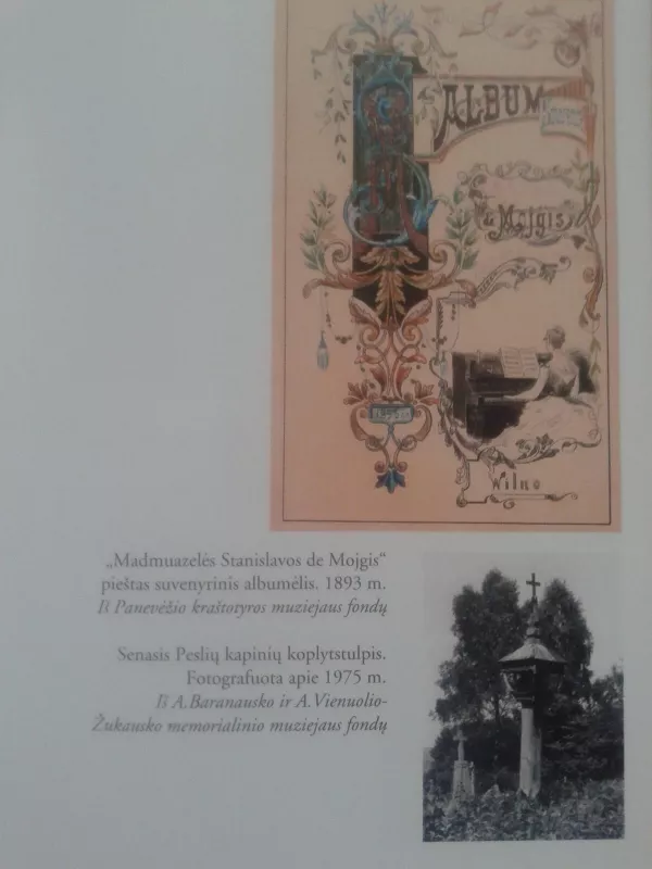 Peslių akademija - Rimantas Vanagas, knyga 5