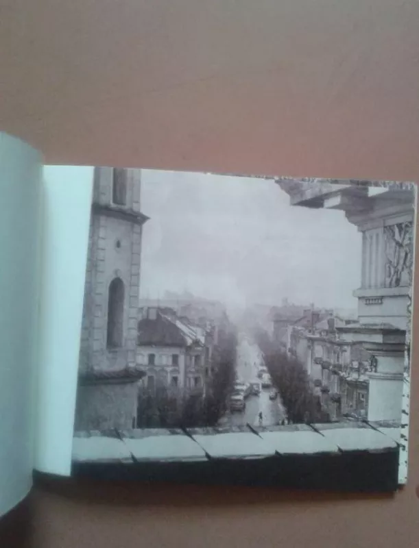 Vilnius. Gedimino aikštė - Antanas Sutkus, knyga 4