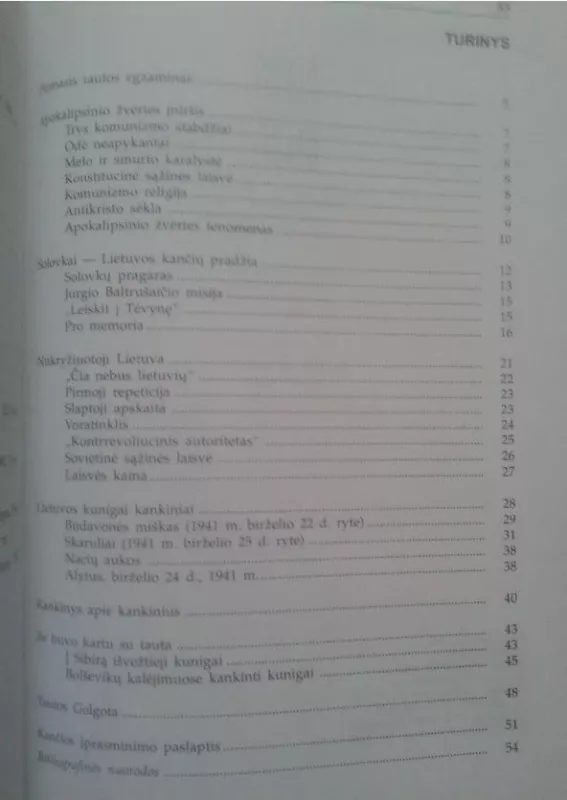 Jie buvo pirmieji(1940- 1941) - Povilas Vitkevičius, knyga 3