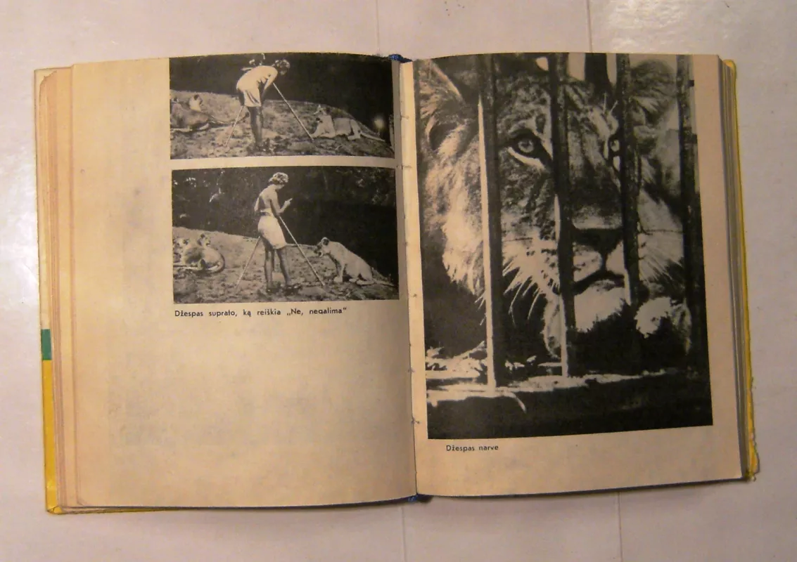 Gimusi laisva - Džoja Adamson, knyga 3