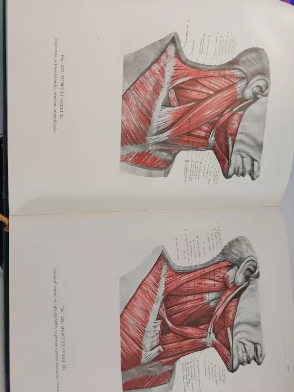 Anatomijos atlasas I tomas - Autorių Kolektyvas, knyga 4