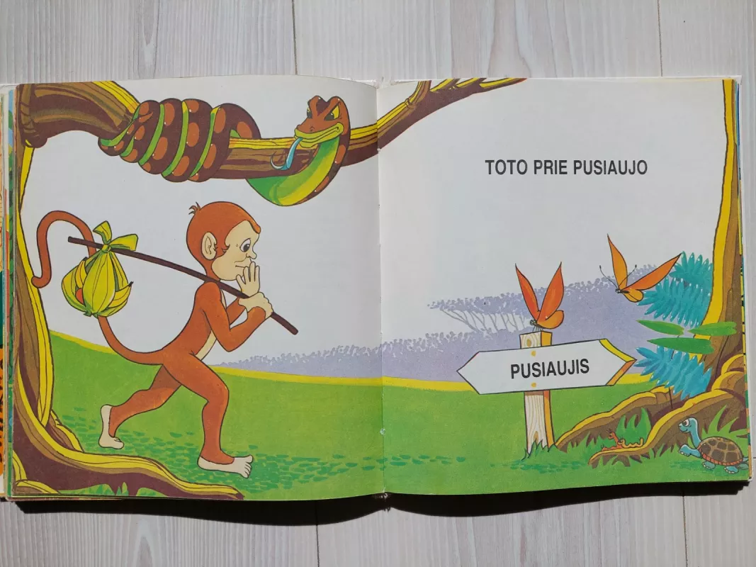 Toto ir jos bičiulių nuotykiai - Paulius Vaitas, knyga 4