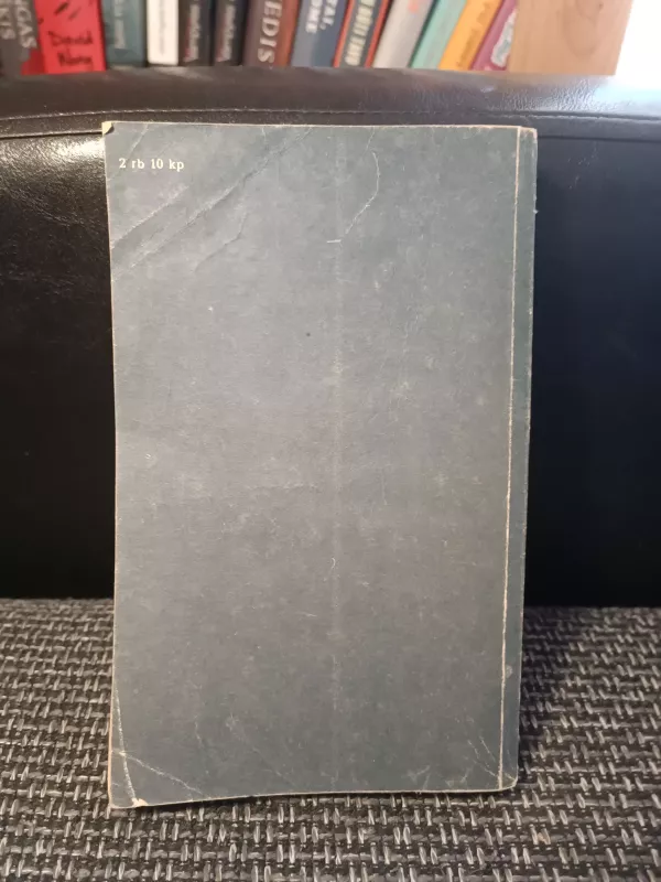 Viešnia iš Šiaurės - Antanas Vienuolis, knyga 4