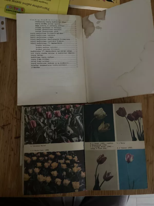 Tulpių auginimas ir pražydinimas - Stanislovas Gegužis, knyga 3