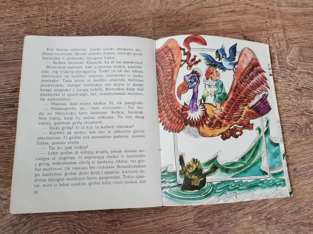 Burtų paukštis - Sonė Tomarienė, knyga 3