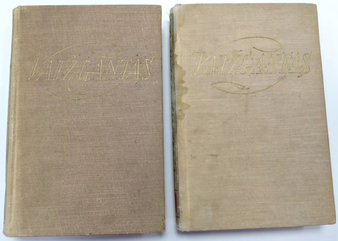 Rinktiniai raštai (I ir II tomai) -  Vaižgantas, knyga 2