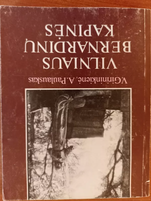 Vilniaus bernardinų kapinės - V. Girininkienė, A.  Paulauskas, knyga 3