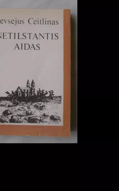 Netilstantis aidas - Jevsejus Ceitlinas, knyga