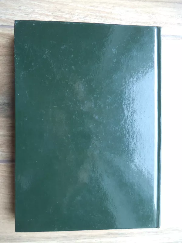 Buvome ir esame didelė šeima - Autorių Kolektyvas, knyga 3