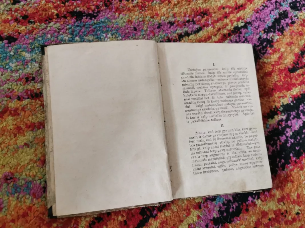 Kaip gyvena augmenys? - Autorių Kolektyvas, knyga 4