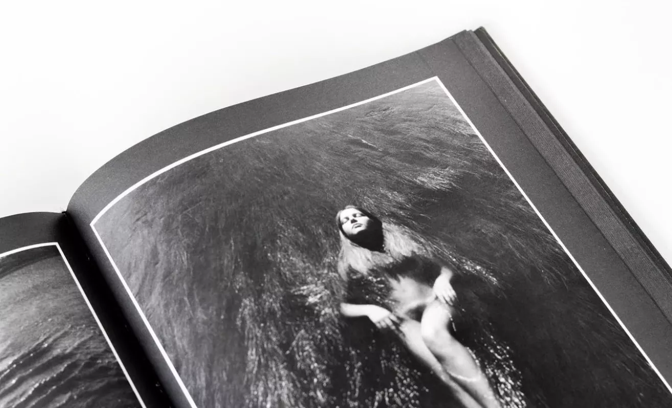 Žiedai tarp žiedų - Rimantas Dichavičius, knyga 6