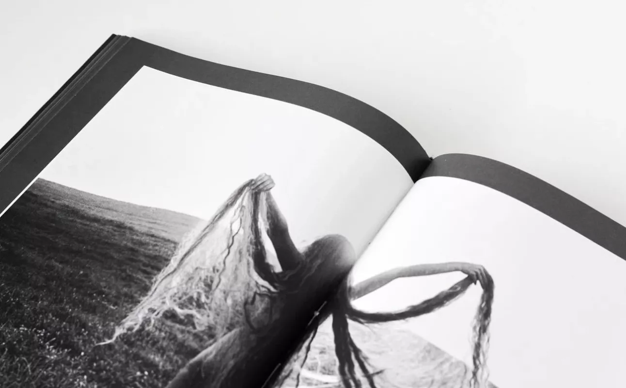 Žiedai tarp žiedų - Rimantas Dichavičius, knyga 5