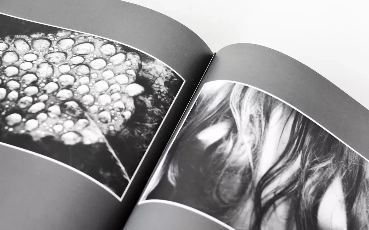 Žiedai tarp žiedų - Rimantas Dichavičius, knyga 4