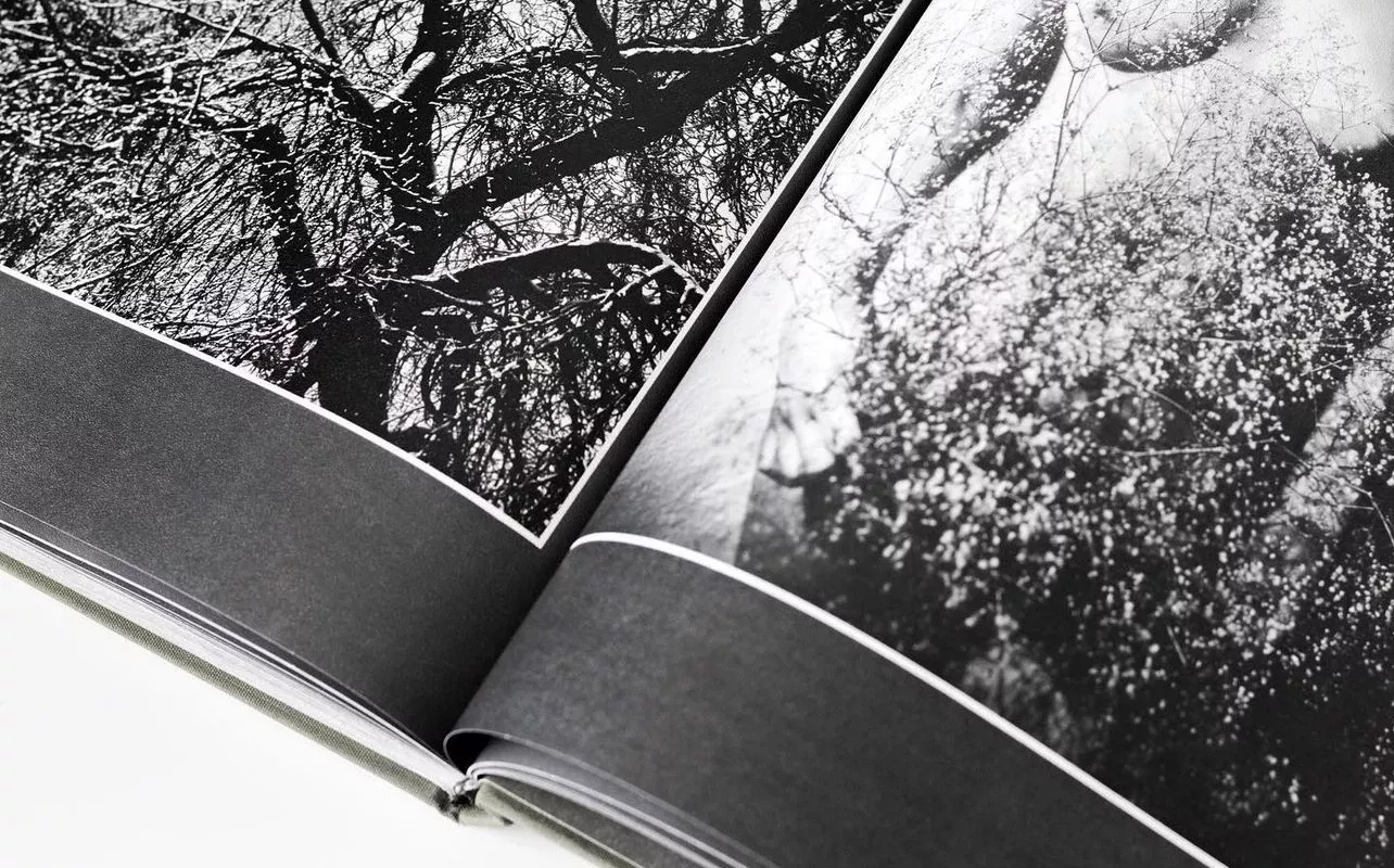 Žiedai tarp žiedų - Rimantas Dichavičius, knyga 3