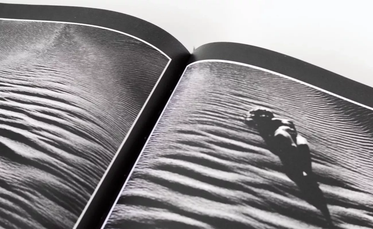 Žiedai tarp žiedų - Rimantas Dichavičius, knyga 2