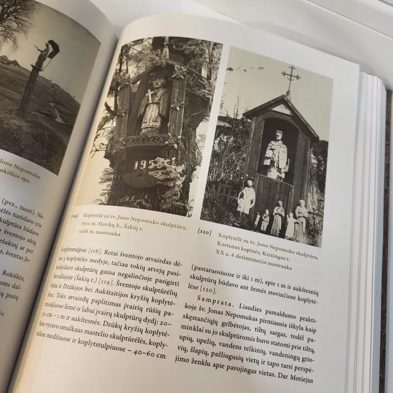 Religinė liaudies skulptūra Lietuvoje XIX a. - XX a. I pusėje - Skaidrė Urbonienė, knyga 3