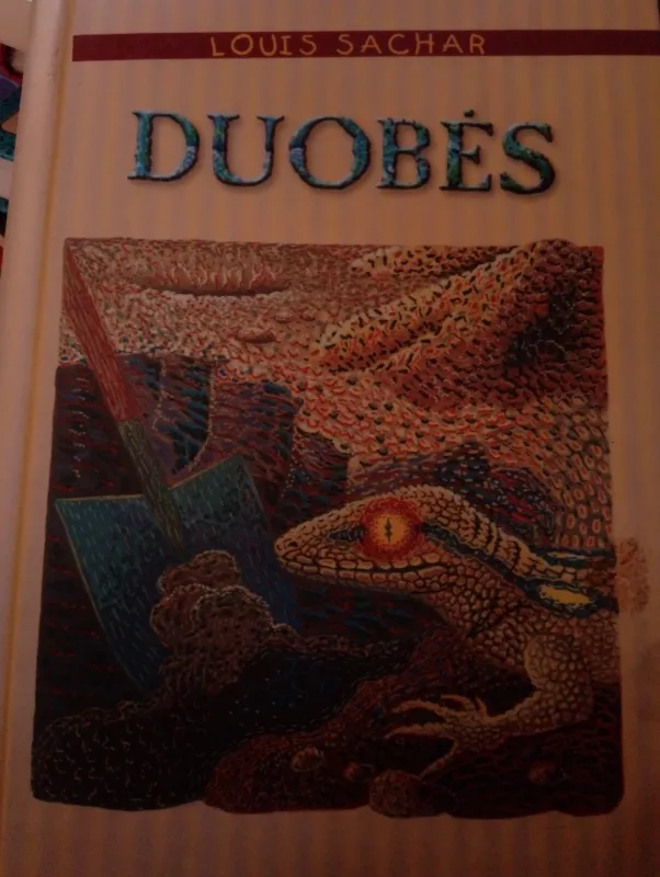Duobės - Louis Sachar, knyga 3