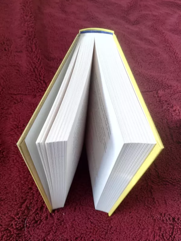 Mirties šokis. „Donbaso“ bataliono kario savanorio dienoraštis - Ihor Michailyšyn, knyga 3