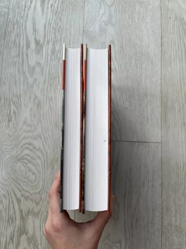 Po Italijos saule. Istorinė apžvalga. Katalogas - Dalia Tarandaitė, knyga 3