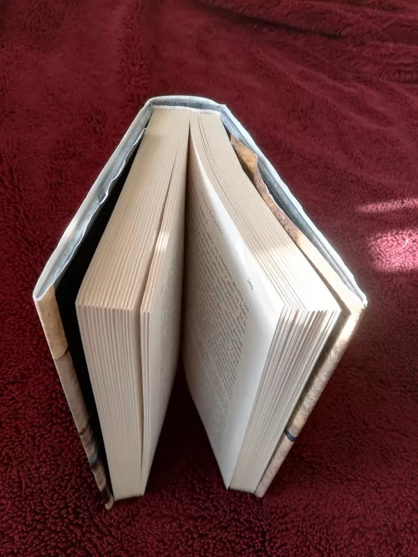 Klounas Šalimaras - Salman Rushdie, knyga 3