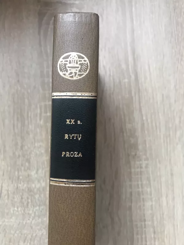 XX a. rytų proza - Autorių Kolektyvas, knyga 2