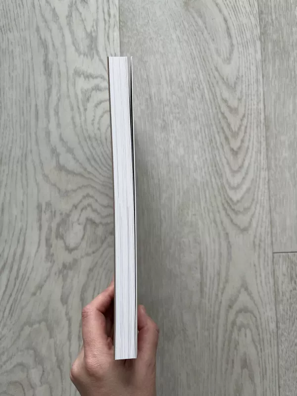 Vilniaus istorijos. Gidas po XVIII a. miestą - Sonata Šulcė, knyga 4