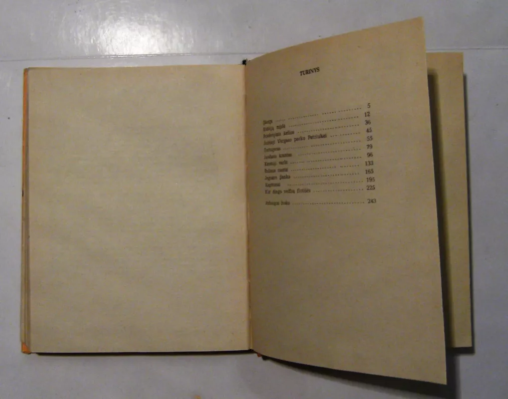 Priešvėjinis kelias - Arčis Karas, knyga 4