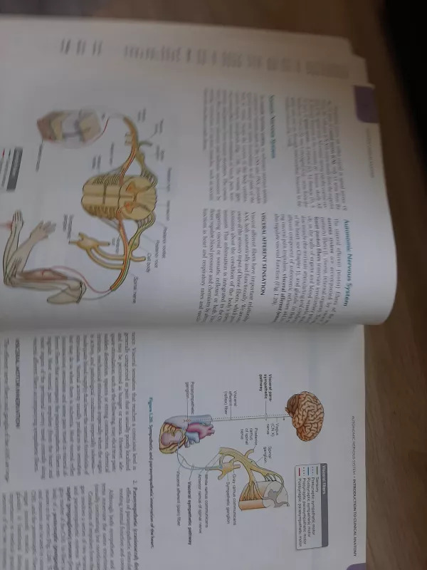 Essential clinical anatomy - Moore Keith L., knyga 3
