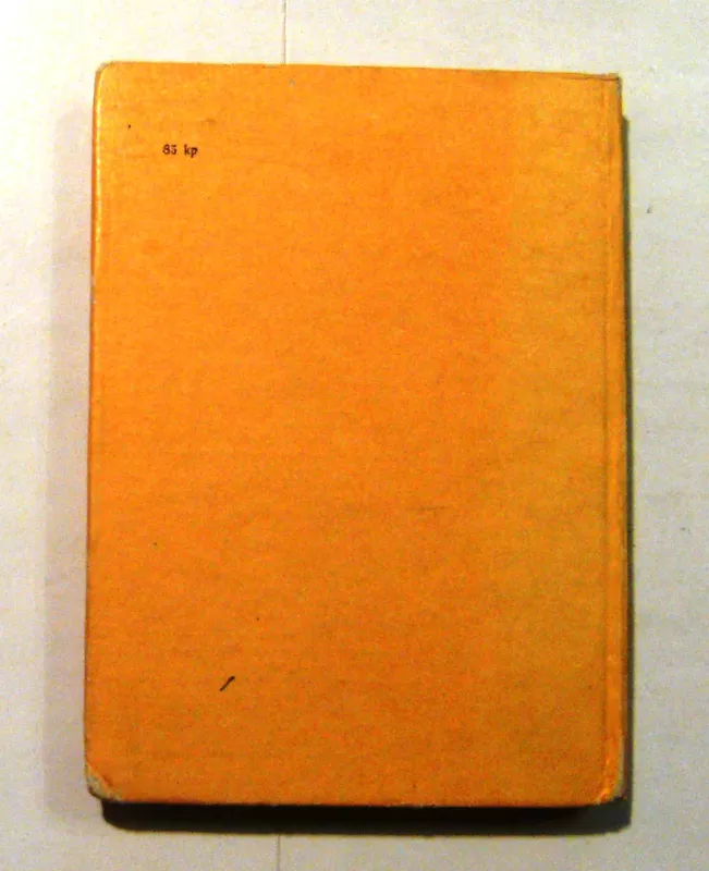 Aukso irklas - J. Bogatas, knyga 5