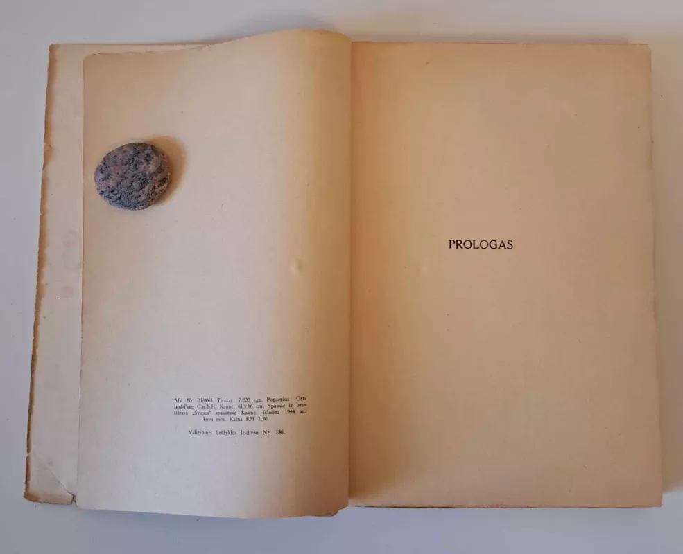Pragiedruliai (IV tomas, 1944 m) -  Vaižgantas, knyga 4
