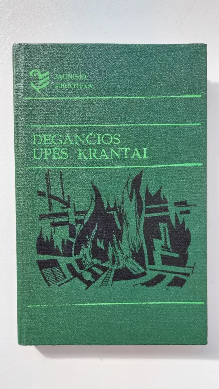 Degančios upės krantai - Jonas Avyžius, knyga