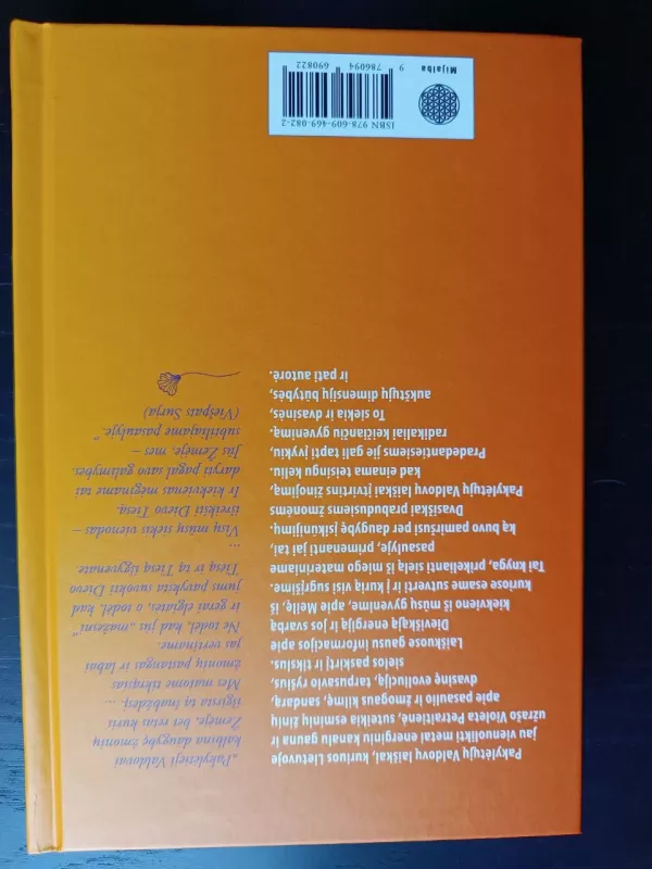 Savęs ir visatos pažinimo link. IV knyga - Violeta Petraitienė, knyga 3