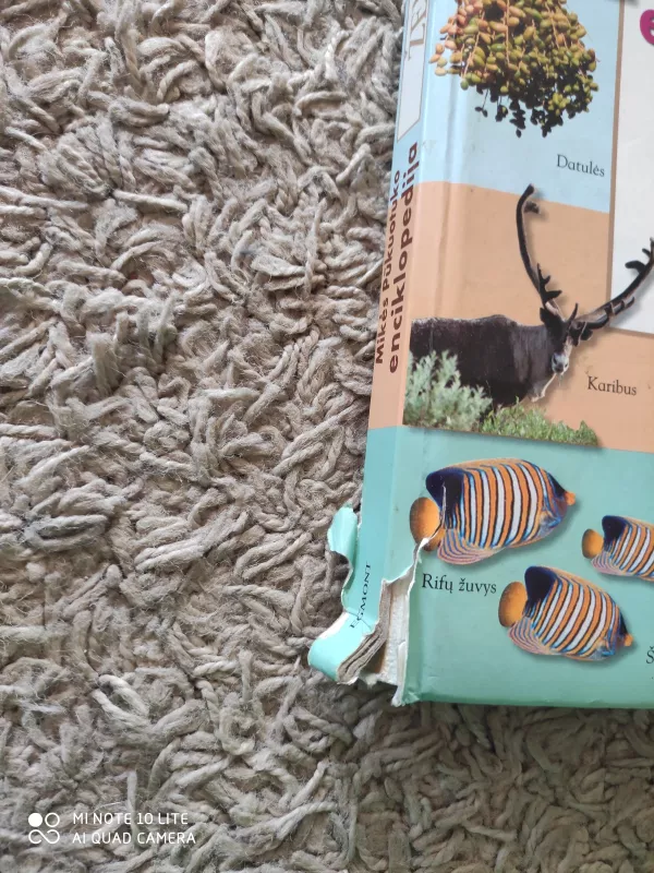 Mikės Pūkuotuko enciklopedija ŽEMĖ - Walt Disney, knyga 3