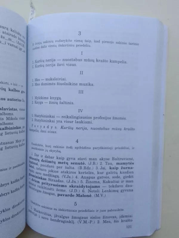 Lietuvių kalbos rašybos ir skyrybos pratimai X-XII klasei - Bronius Dobrovolskis, knyga 5