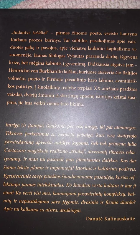 Judantys šešėliai - Laurynas Katkus, knyga 3