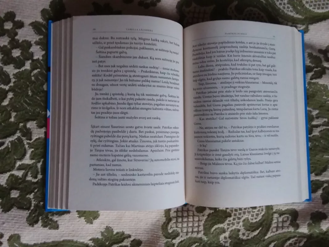 Pamokslininkas - Camilla Läckberg, knyga 3