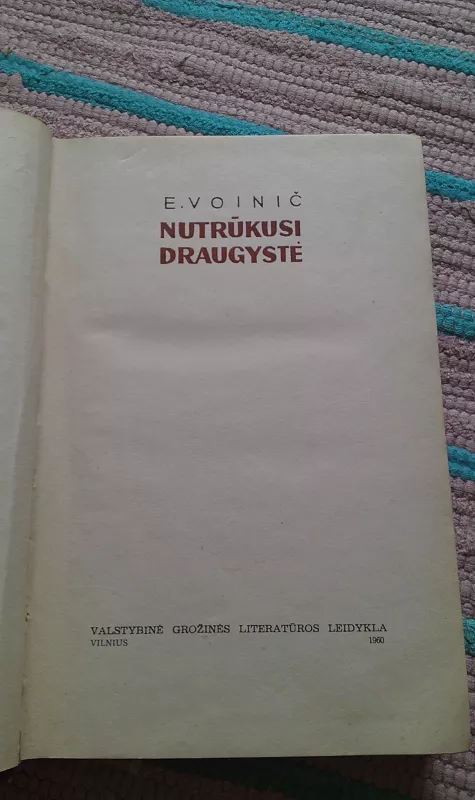 Nutrūkusi draugystė - E. Voinič, knyga 2