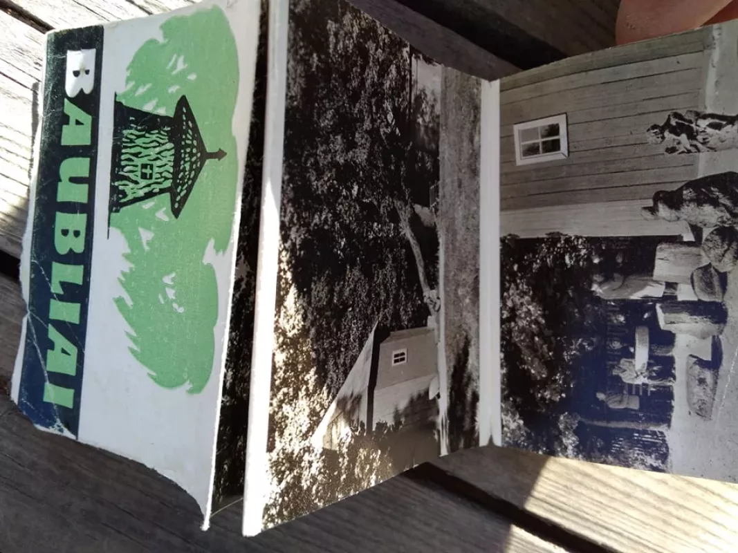 Baubliai - Stasys Skrodenis, knyga 3