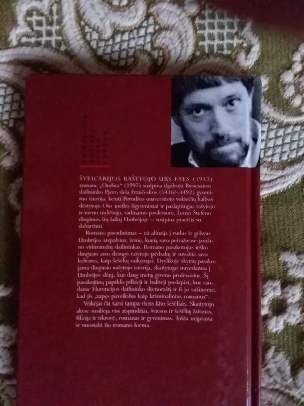 Ombra - Urs Faes, knyga 4