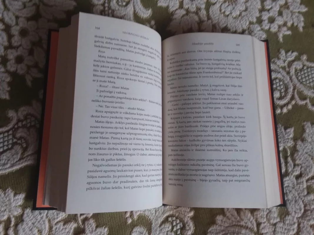 Skorpiono rūmai - Nancy Farmer, knyga 3