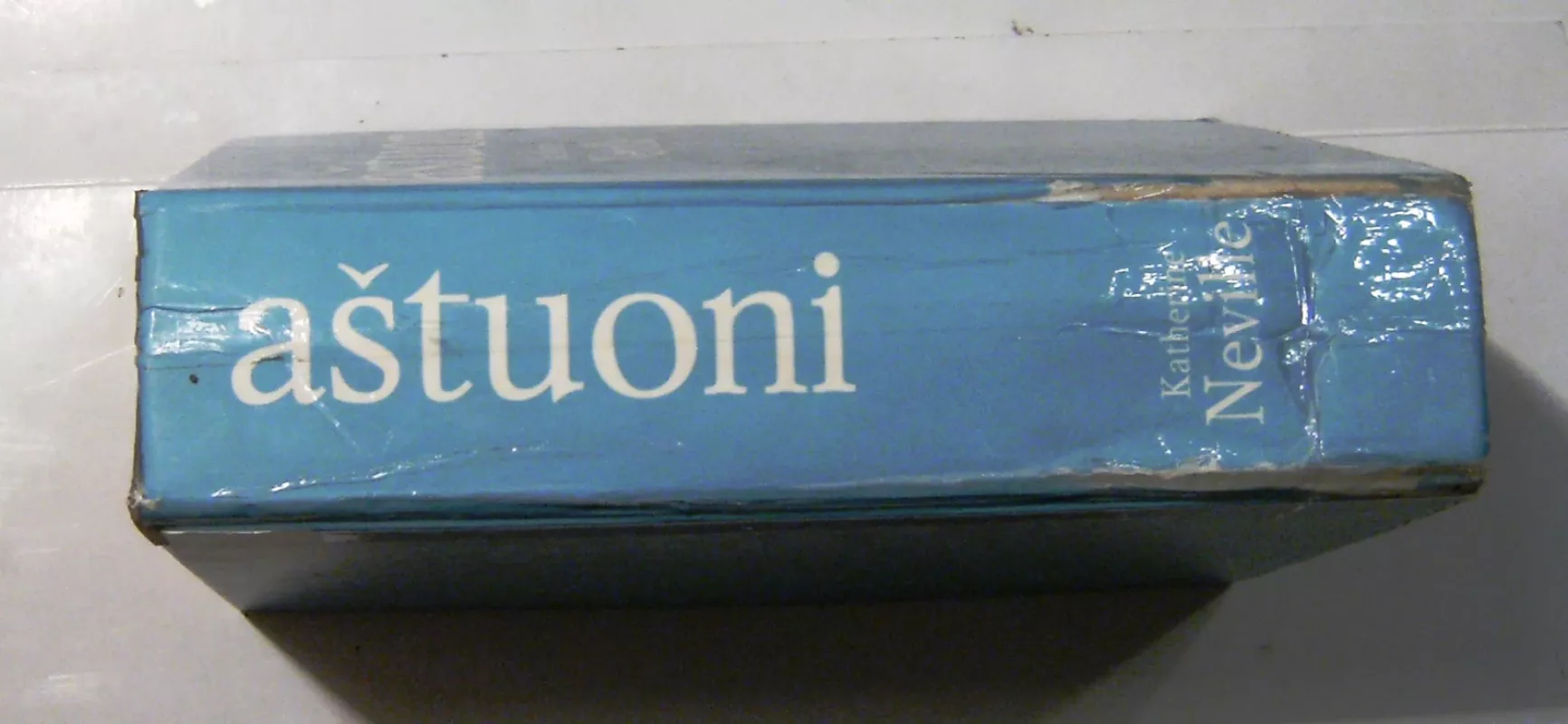 Aštuoni - Katherine Neville, knyga 6