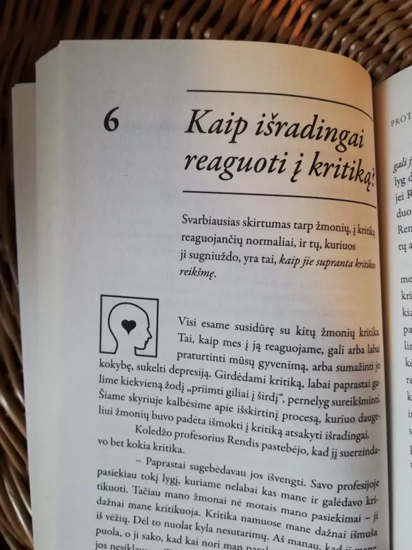 Protas turi širdį. Neurolingvistinis programavimas - Connirae ir Steve Andreas, knyga 4